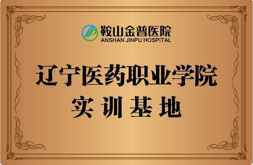 遼寧醫藥職業(yè)學(xué)院實(shí)訓基地